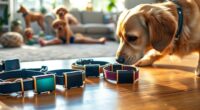 best dog training collars