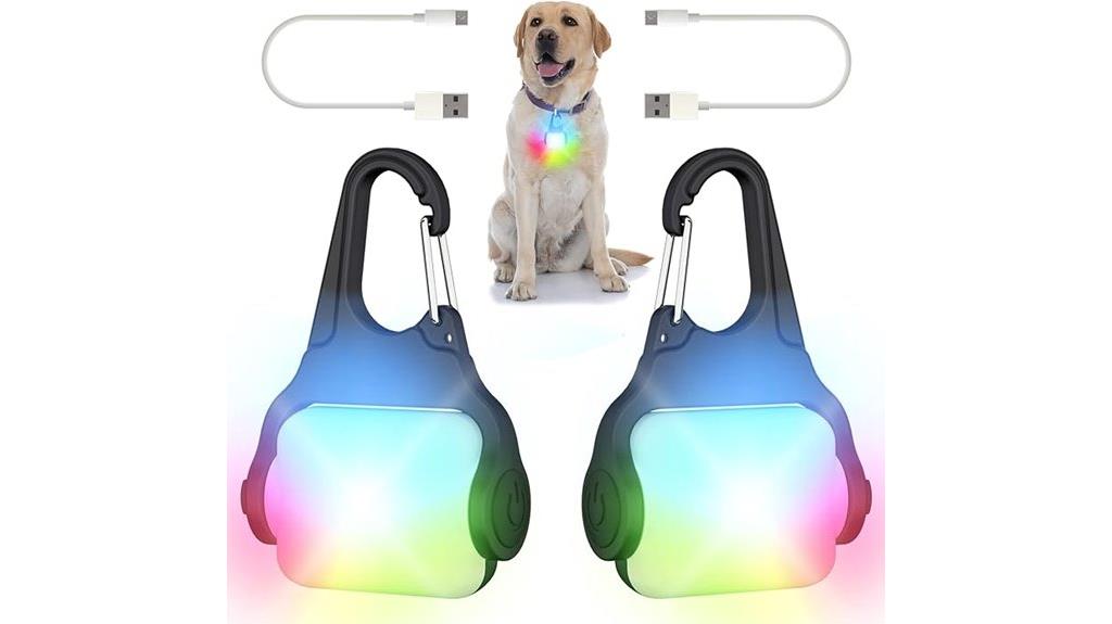 color changing dog lights