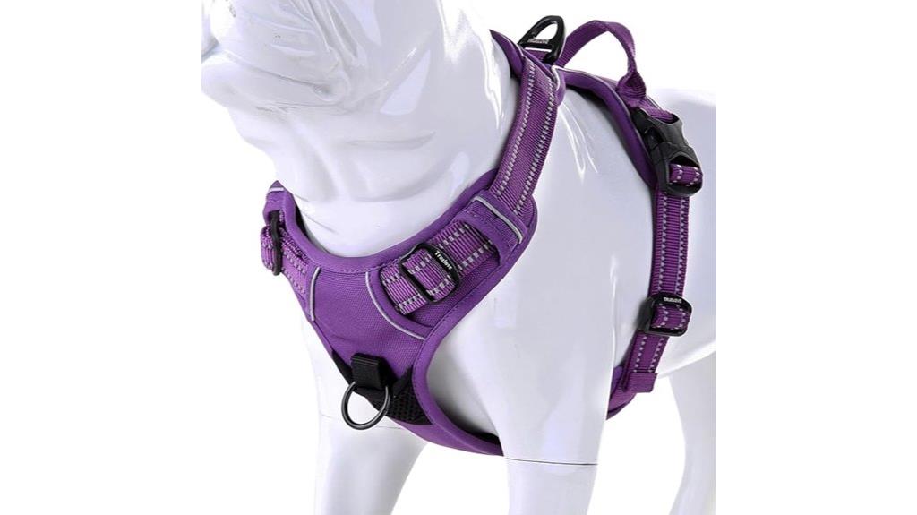 comfortable dog harness setup