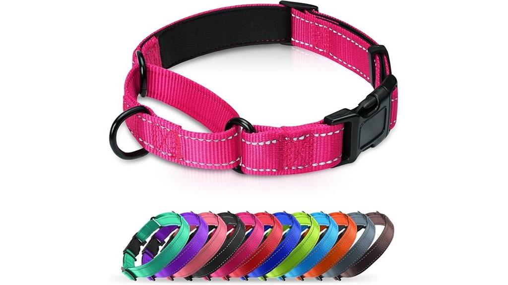 comfortable dog training collar