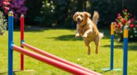 dog agility obstacle bars