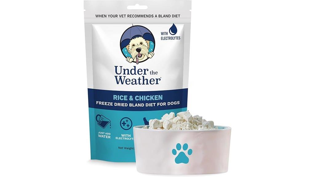 dog bland diet option