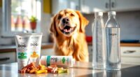 dog dental care products