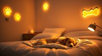 dog night lights safety guide