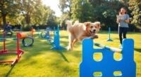 dog obstacle course guide