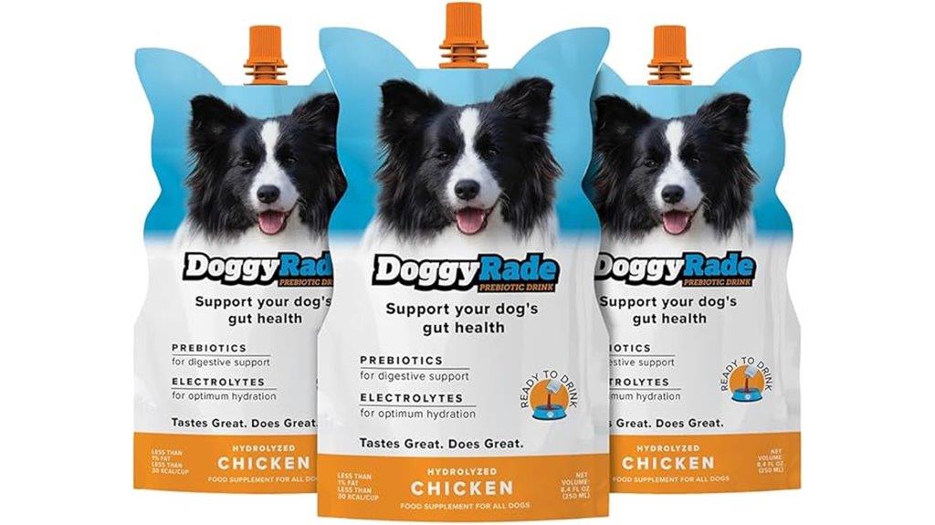 dog sports drink chicken