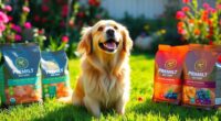 dry dog food recommendations