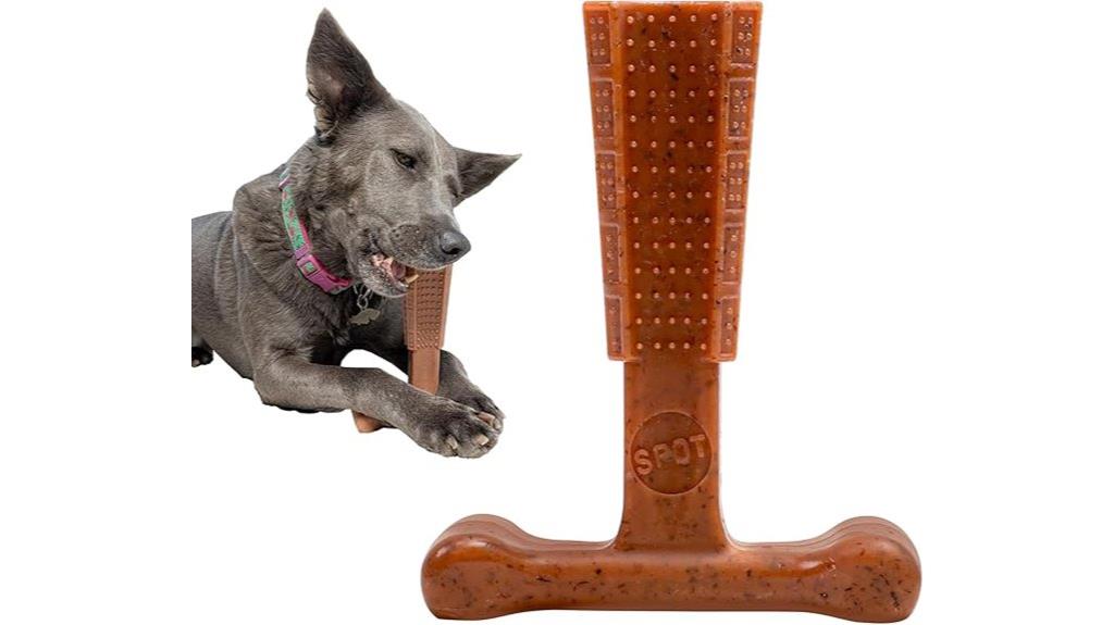 durable chew toy for dogs