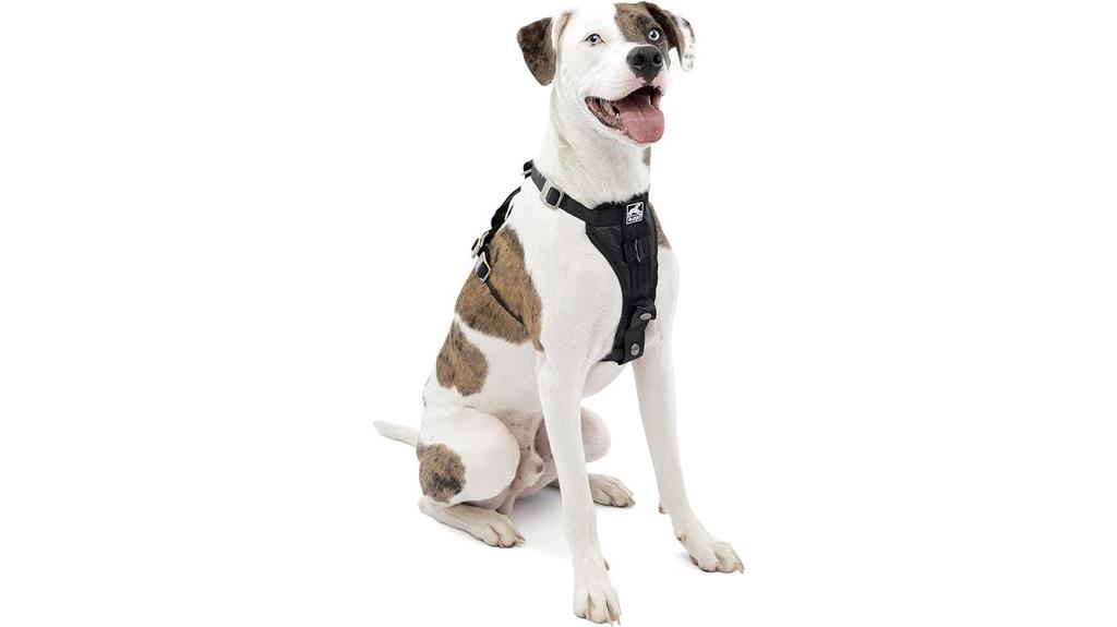 durable medium dog harness