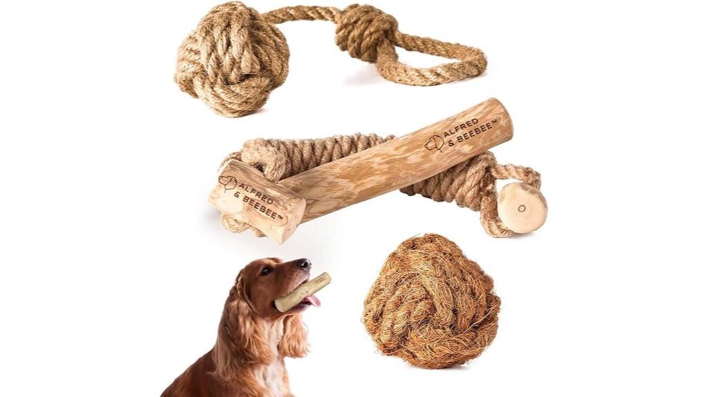 eco friendly dog chew toy