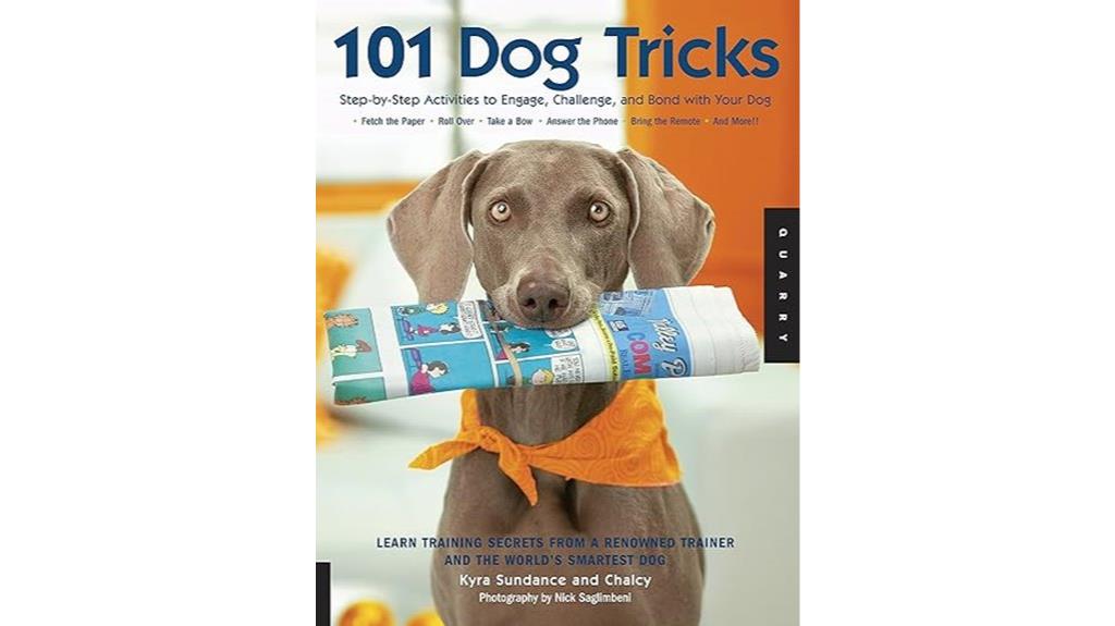 engaging activities for dogs