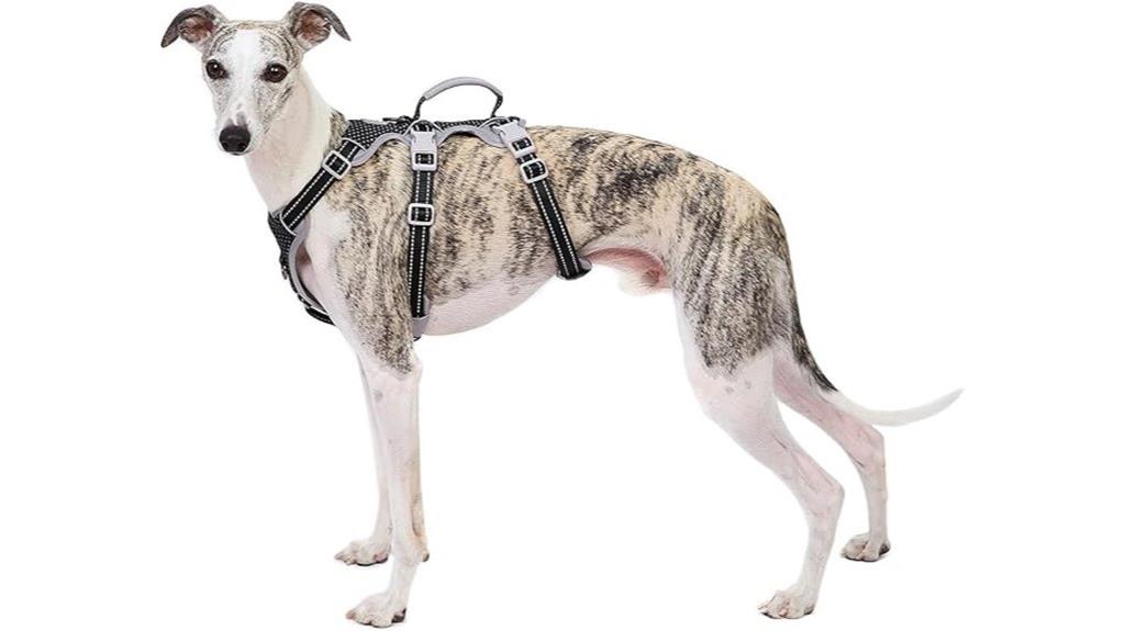 escape proof harness for dogs