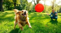 fetch training tips revealed