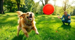 fetch training tips revealed