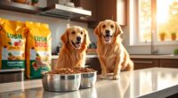 healthy weight loss dog food