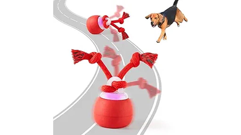 interactive toy for dogs