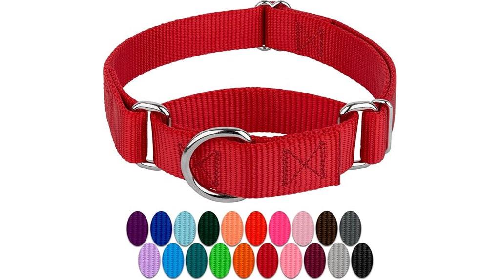 martingale collar for medium dogs