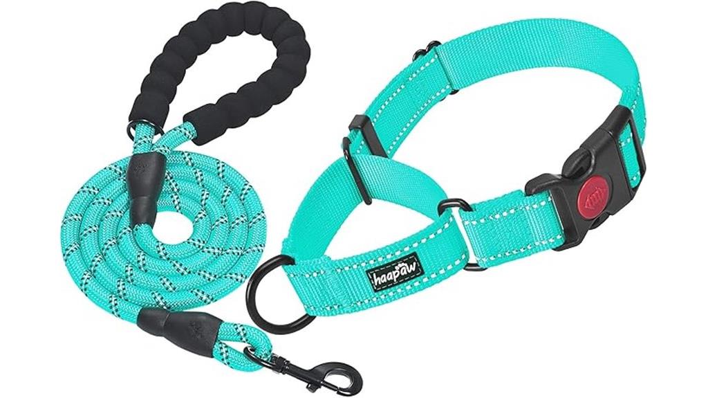 martingale collar with buckle