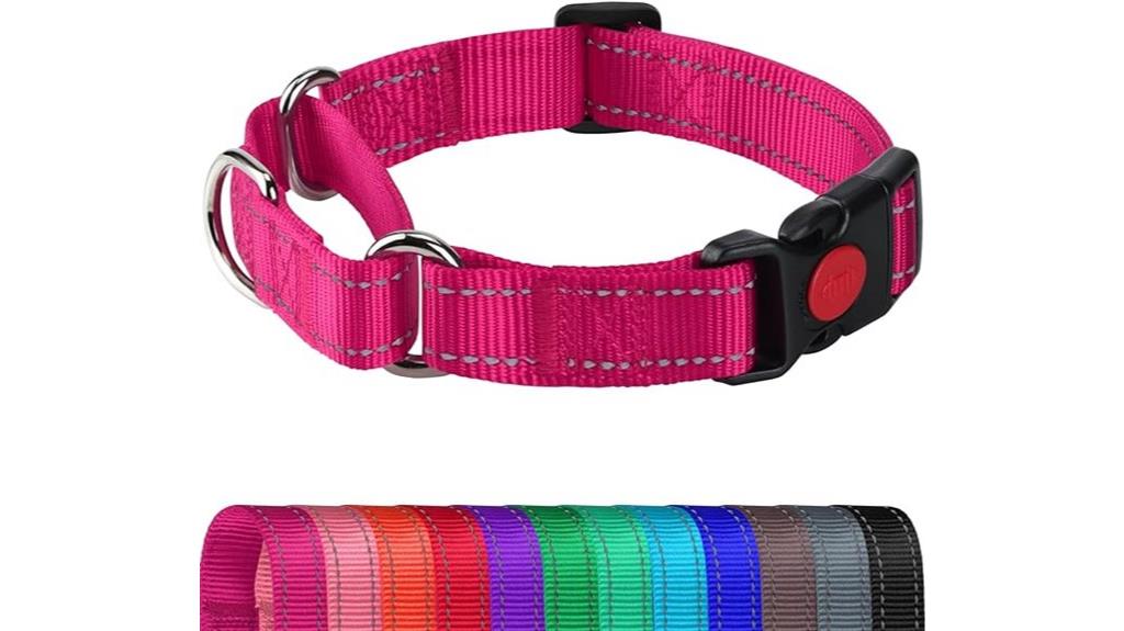 medium dog martingale collar