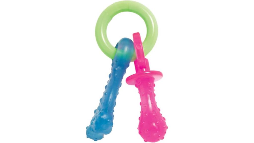 nylabone chew toy pacifier