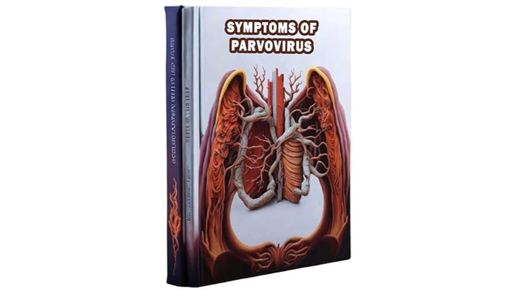 parvovirus b19 infection symptoms