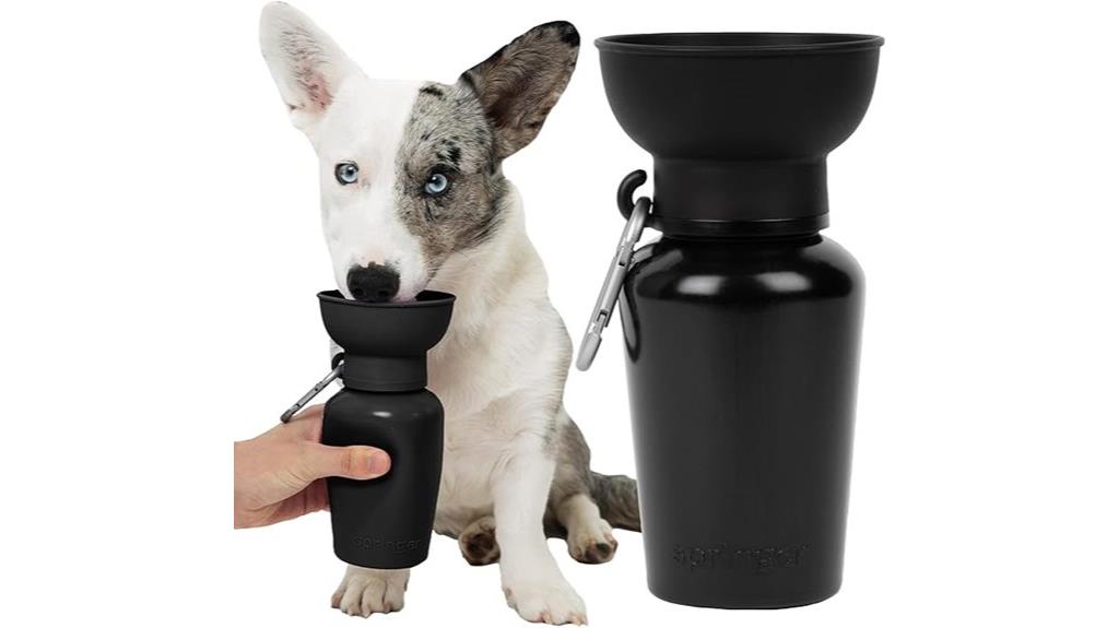 portable dog water bottle