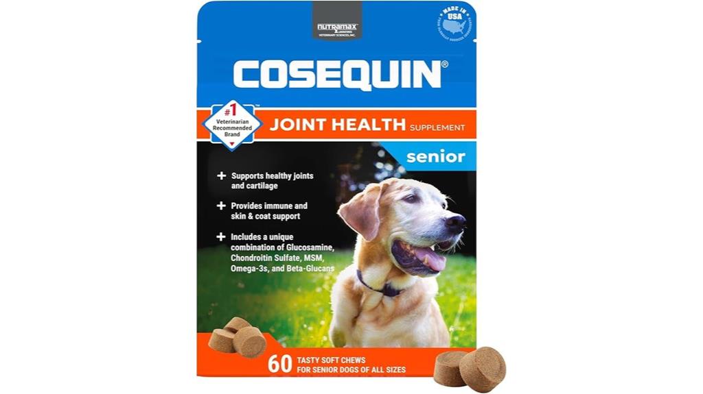 senior dog joint supplement