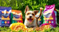 terrier breed dog nutrition