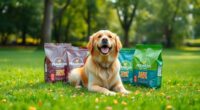 top dog food recommendations