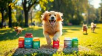 top energy supplements for dogs