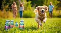 top joint supplements for dogs