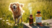 top tick repellents for dogs