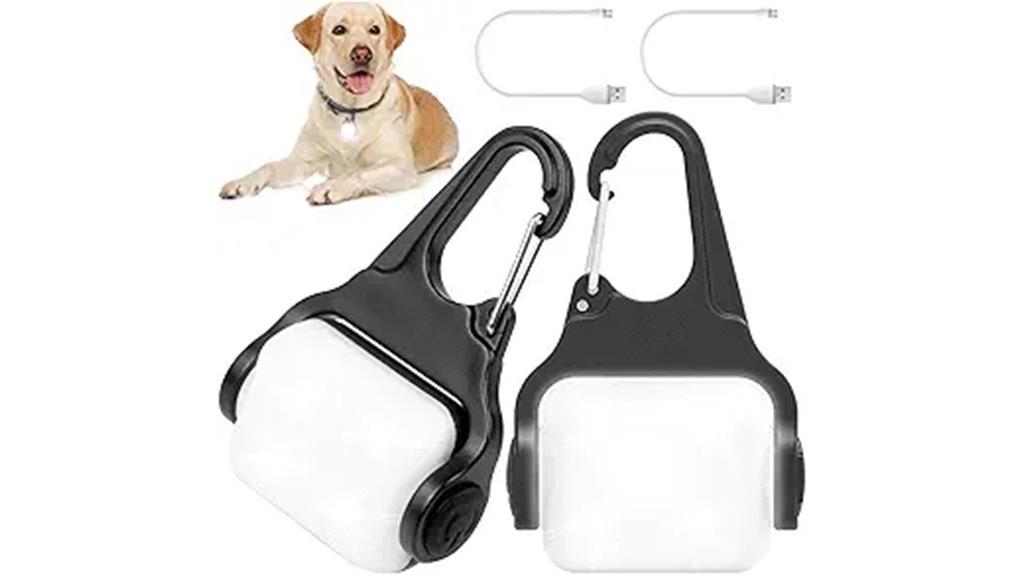 usb c rechargeable dog lights