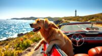dog friendly cruise tips
