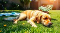 heatstroke prevention and treatment