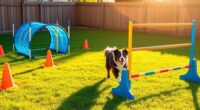 home agility training course