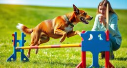 agility dog confidence focus