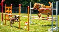 breed specific agility training