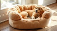 build your own cozy dog bed