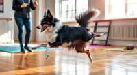 dog dance routine training