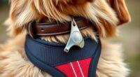 dog training equipment overview