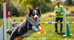 dog training for entertainment