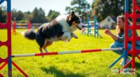enhancing dog communication skills