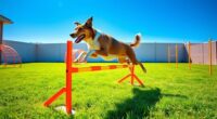incorporate training into play