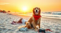 pet friendly travel tips