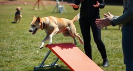 preventing agility training errors