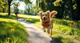 adequate exercise to prevent zoomies
