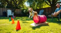 budget backyard agility course