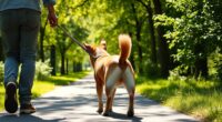 gentle leash walking techniques
