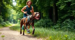 running with dogs safely